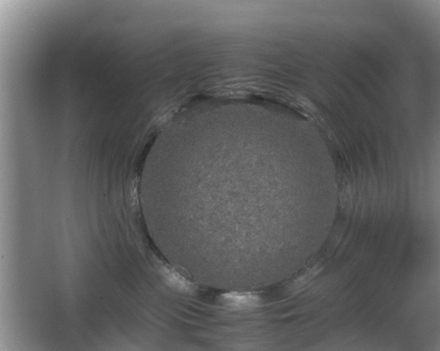 X0000067890477200604171342