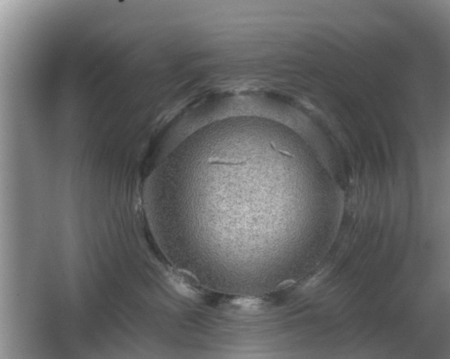 X0000067890478200604171342