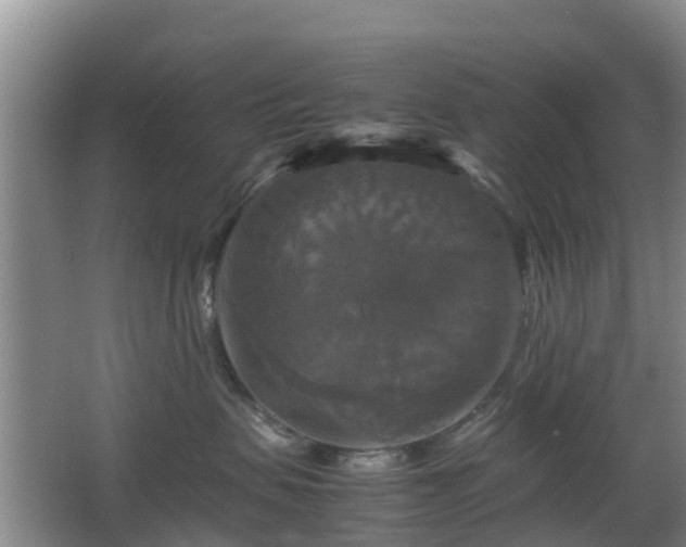 X0000067890479200604171342