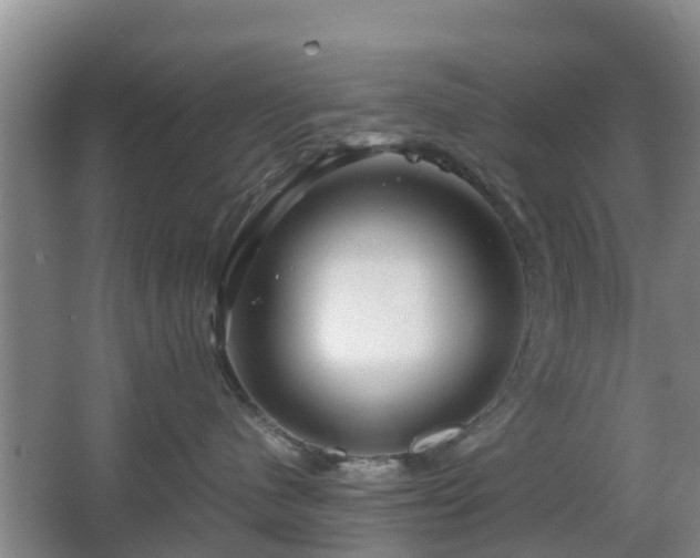 X0000067890480200604171342