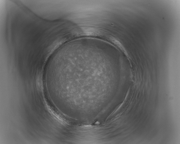 X0000067890482200604171341