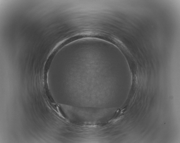 X0000067890484200604171341