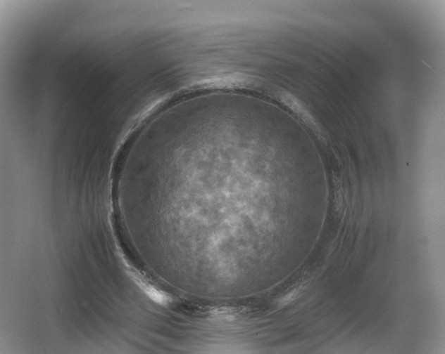 X0000067890486200604171341