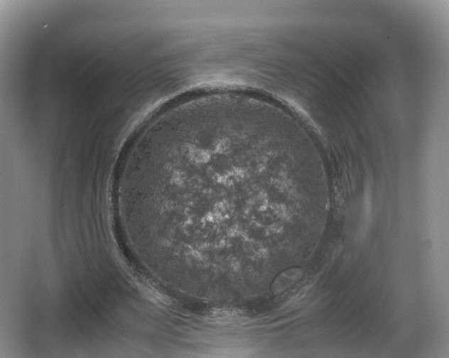 X0000067890487200604171341