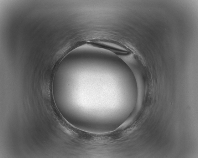 X0000067890489200604171341