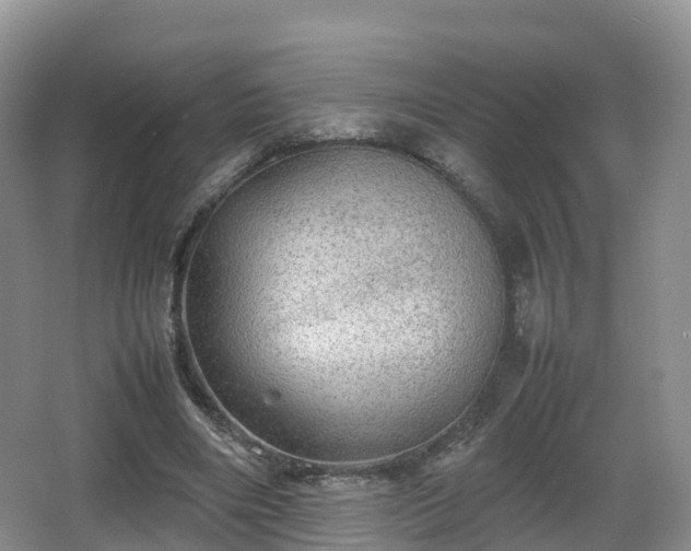 X0000067890490200604171341