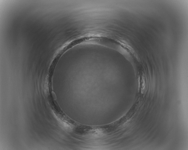 X0000067890492200604171341