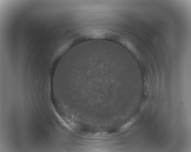 X0000067890493200604171341