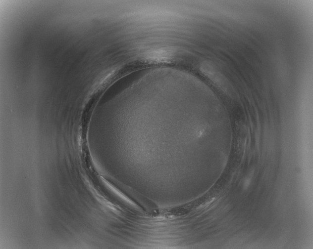 X0000067890494200604171341