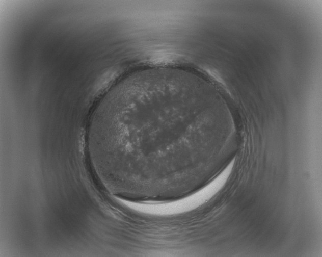 X0000067890495200604171341