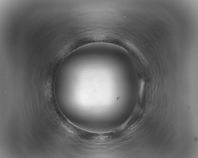 X0000067890497200604171341