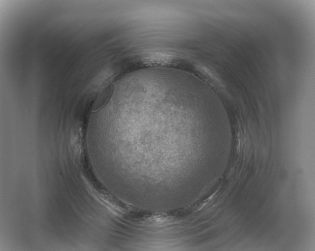 X0000067890498200604171341