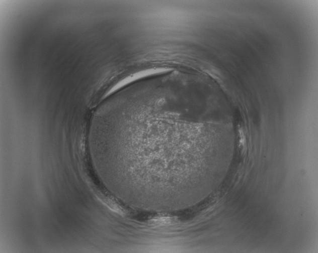 X0000067890499200604171341