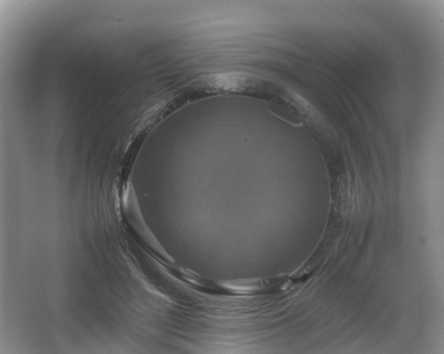 X0000067890500200604171341