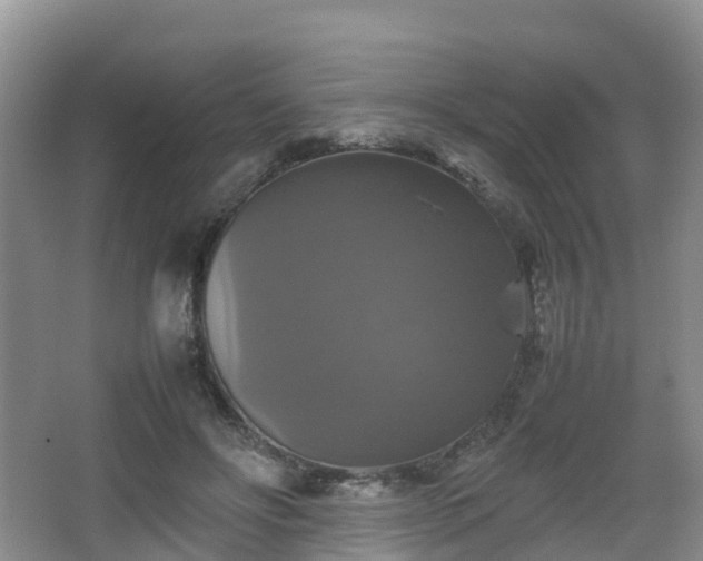 X0000067890502200604171341