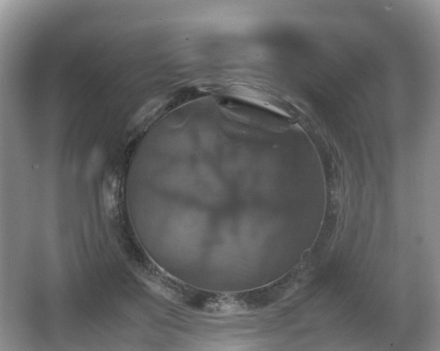 X0000067890503200604171341