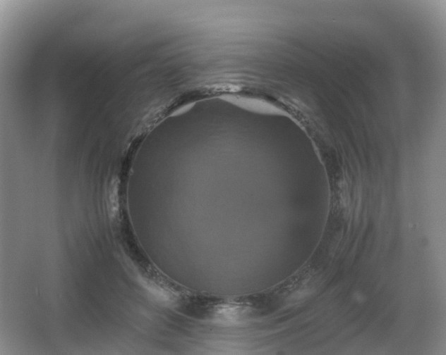 X0000067890504200604171341