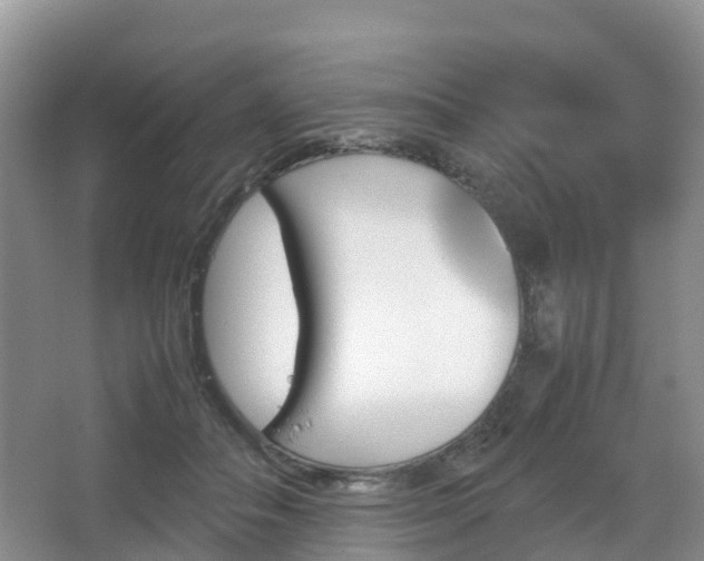 X0000067890506200604171340