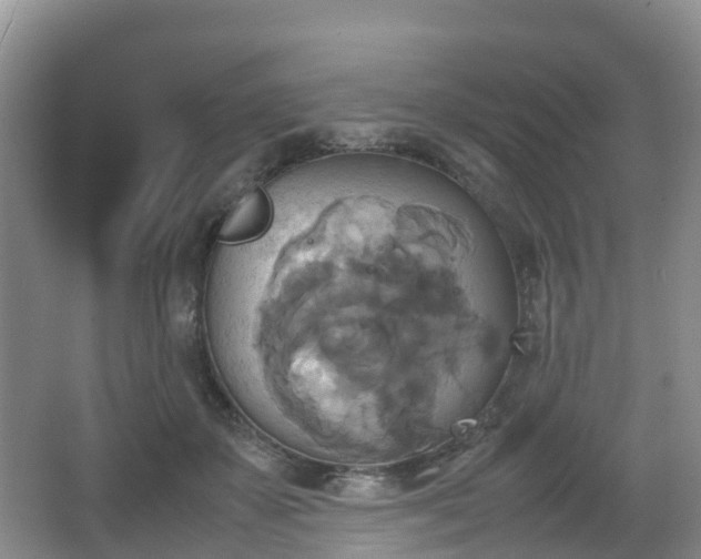 X0000067890507200604171340