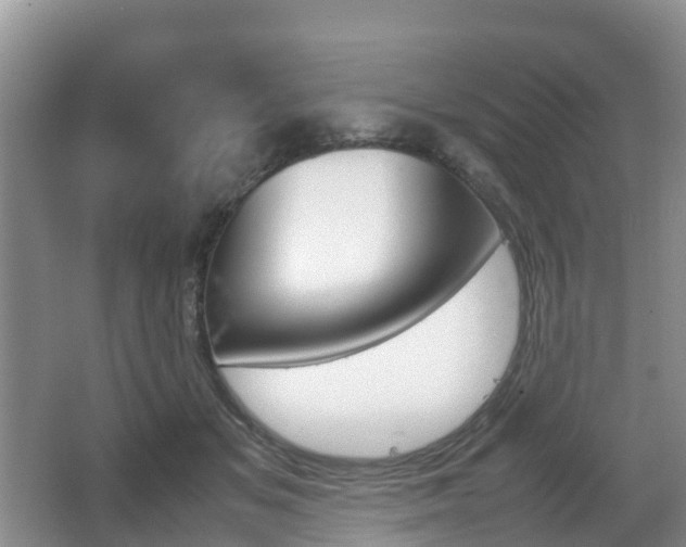 X0000067890509200604171340