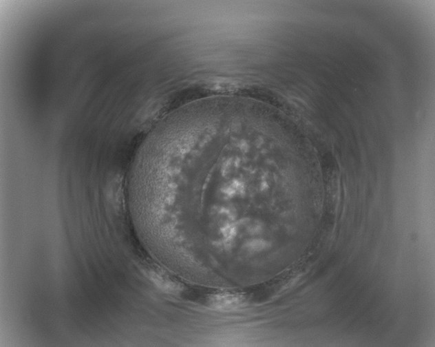 X0000067890511200604171340