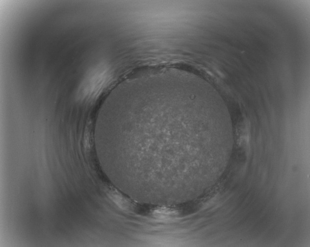 X0000067890515200604171340