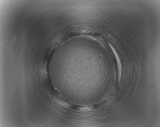 X0000067890516200604171340