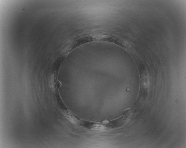 X0000067890519200604171340