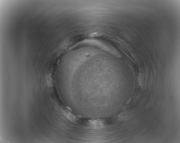 X0000067890520200604171340