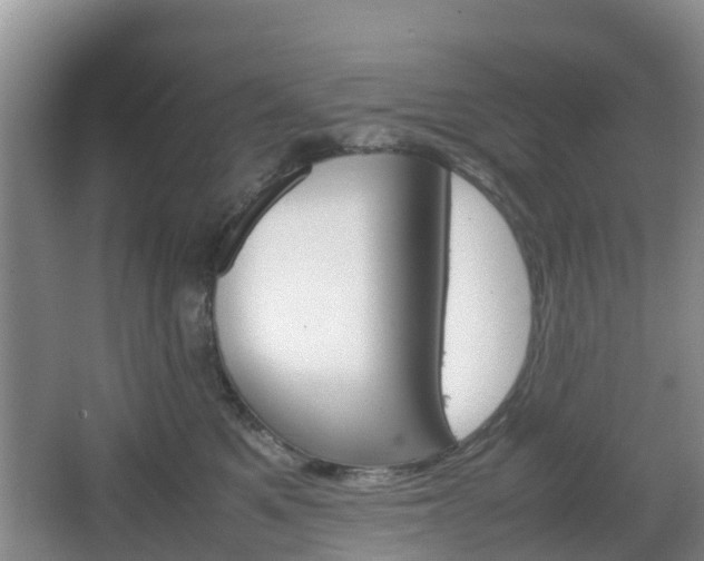 X0000067890521200604171340