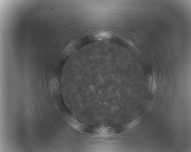 X0000067890523200604171340