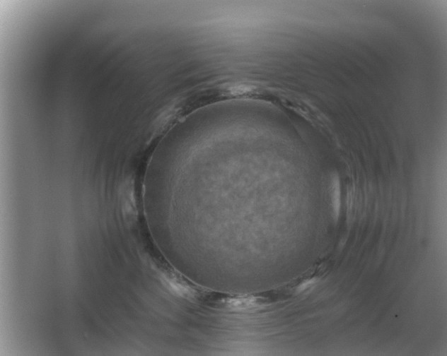 X0000067890524200604171340