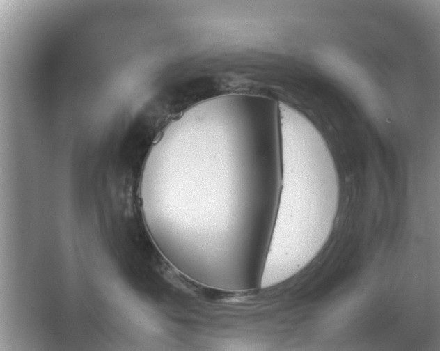 X0000067890525200604171340