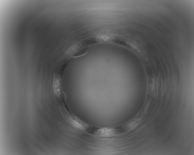 X0000067890526200604171340