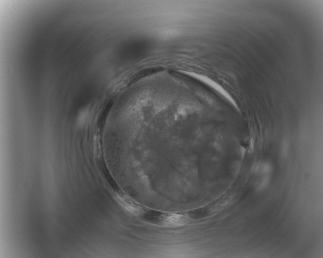 X0000067890527200604171340