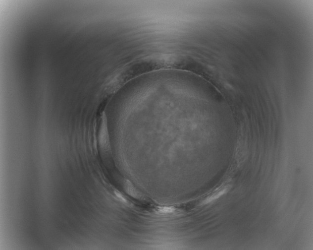 X0000067890528200604171340