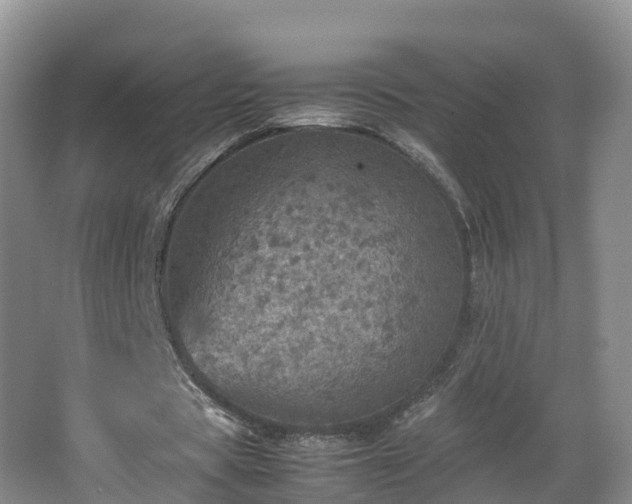 X0000067890529200604171339