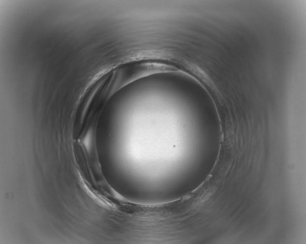 X0000067890530200604171339