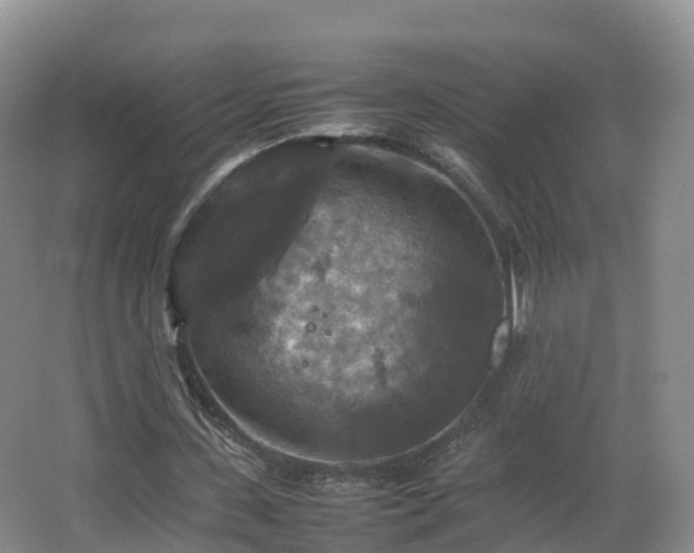 X0000067890531200604171339