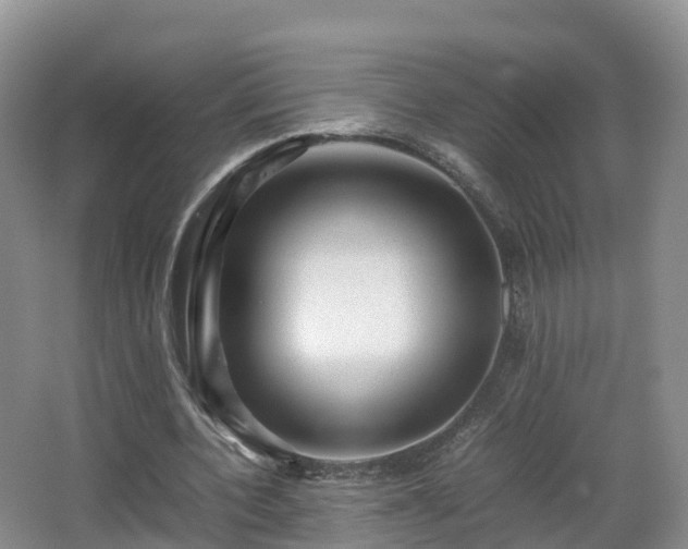 X0000067890532200604171339