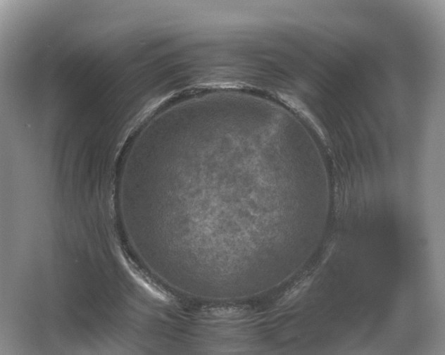 X0000067890533200604171339