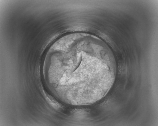 X0000067890534200604171339