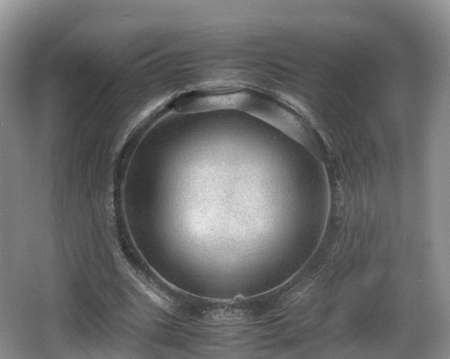 X0000067890535200604171339