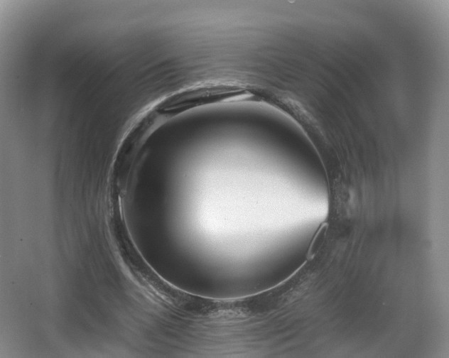 X0000067890536200604171339