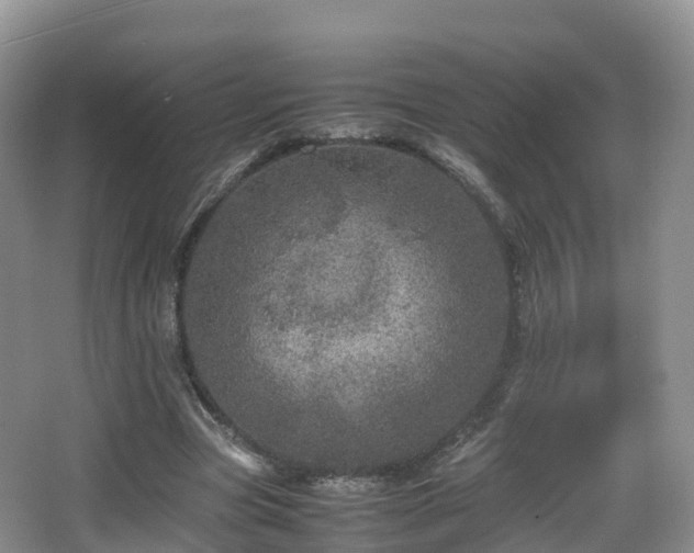 X0000067890537200604171339