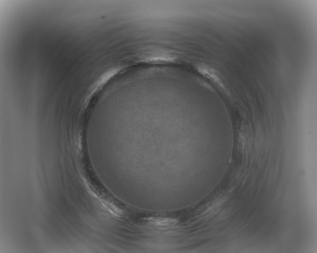 X0000067890539200604171339