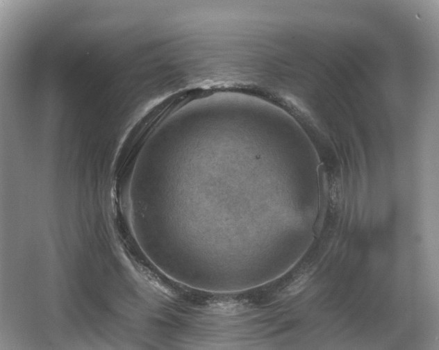 X0000067890540200604171340