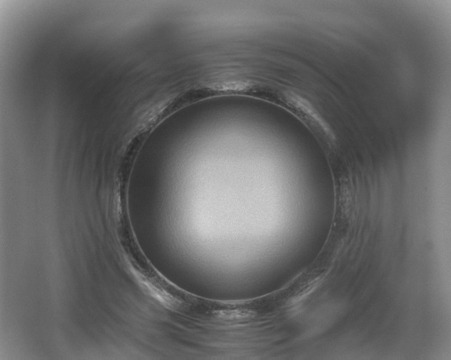 X0000067890541200604171340