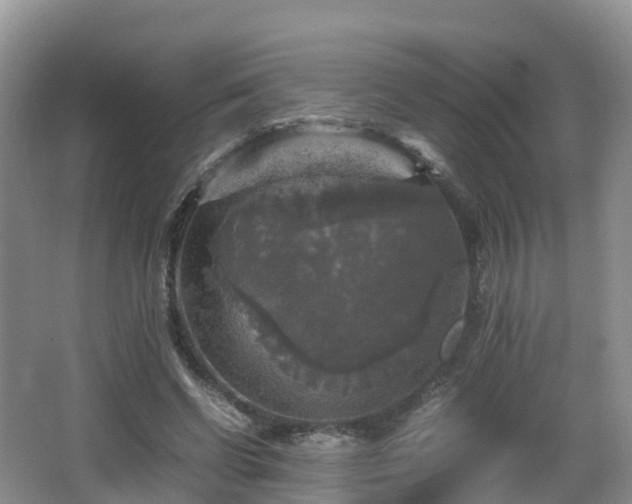 X0000067890542200604171340