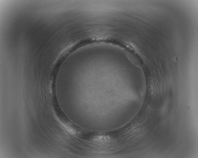 X0000067890543200604171340